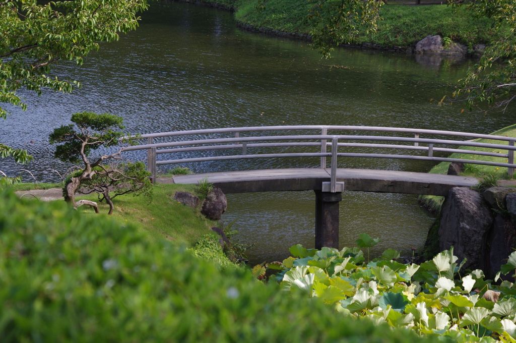 庭園風景　2　展望台から