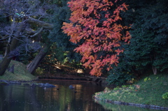 池の風景