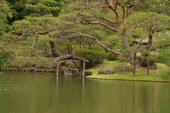 舟　六義園　8月