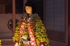 菊人形