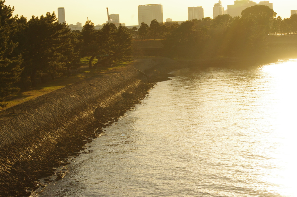 日暮れのお台場海浜公園　２月