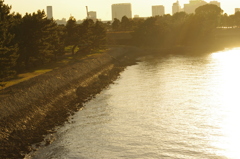 日暮れのお台場海浜公園　２月