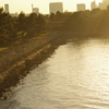 日暮れのお台場海浜公園　２月