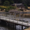 橋と茶屋
