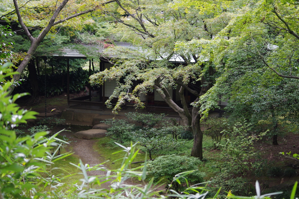 茶室