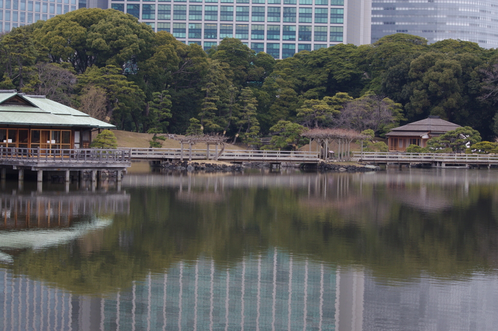 公園風景　2