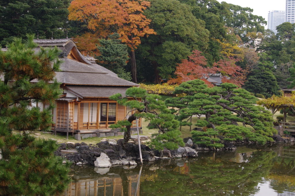 紅葉と茶屋と