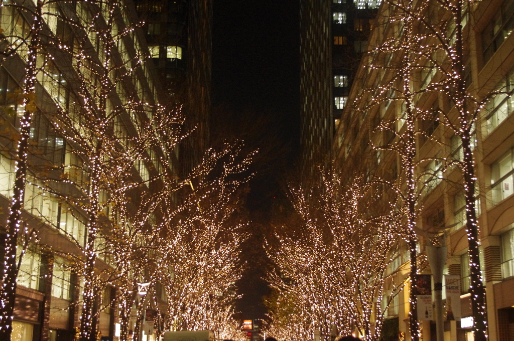 丸の内のクリスマス　5