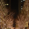 丸の内のクリスマス　5