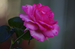 華