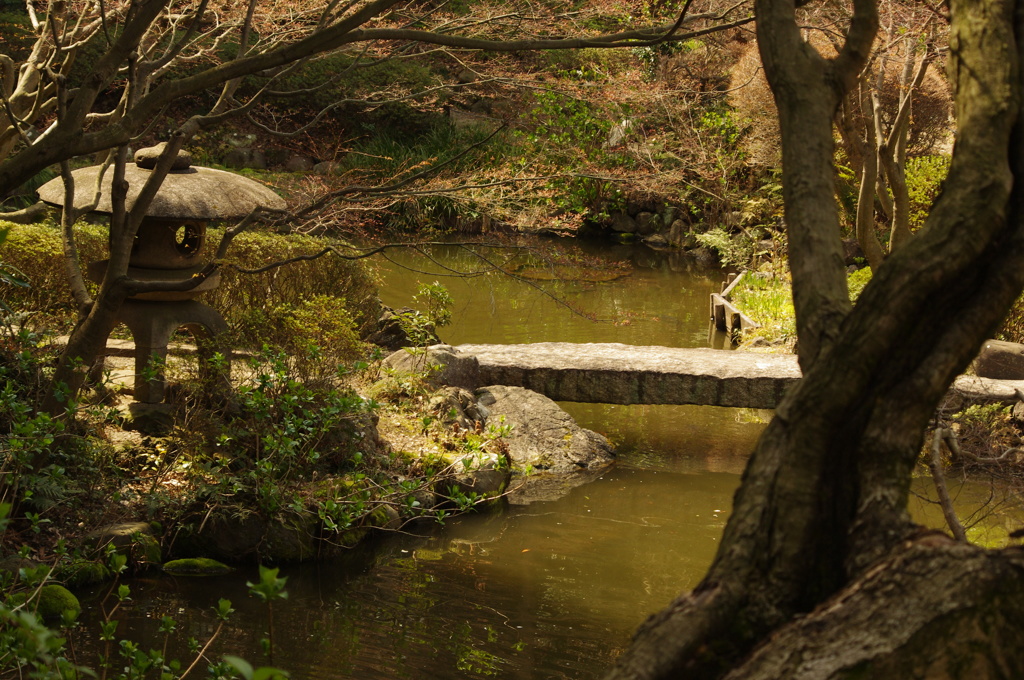 池田山公園の池