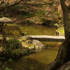 池田山公園の池