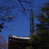 三重塔の残雪