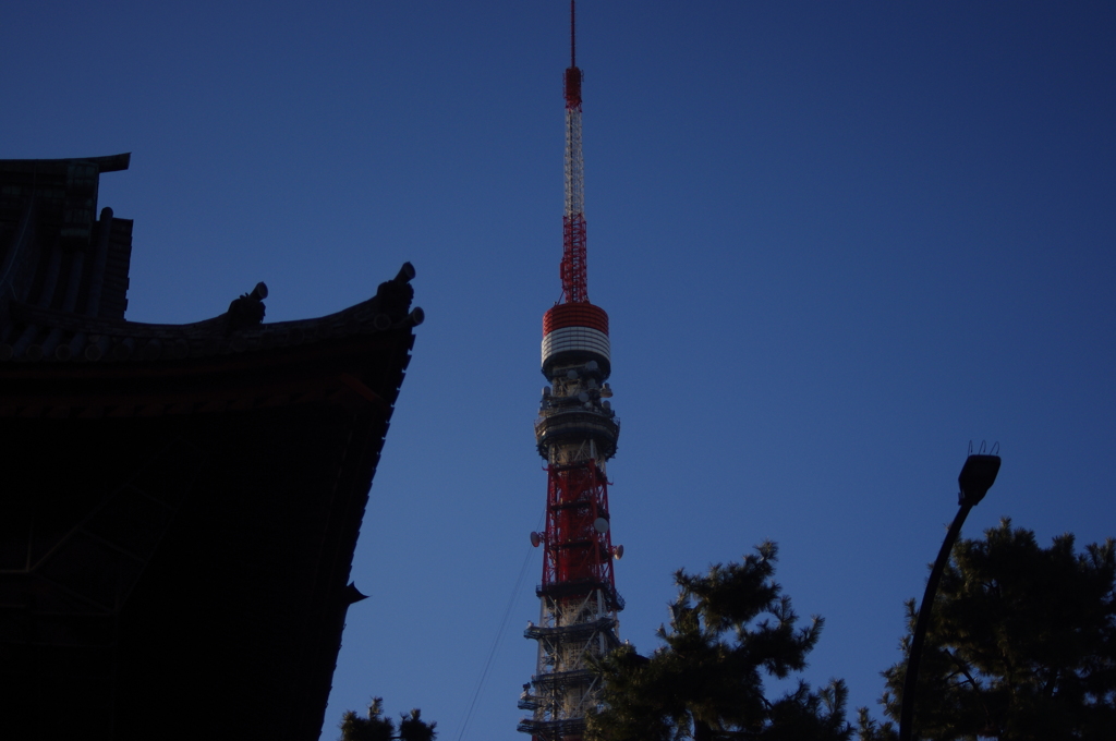 増上寺より見るタワー