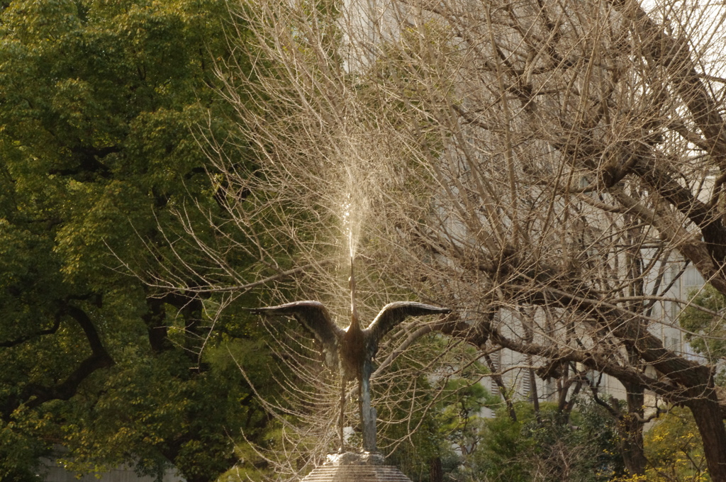 噴水　日比谷公園