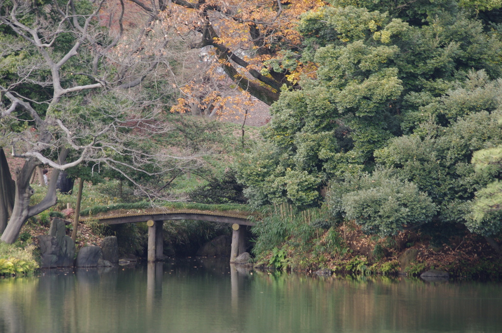 橋　六義園　１２月