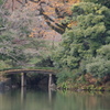 橋　六義園　１２月