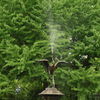 緑と噴水　日比谷公園　8月