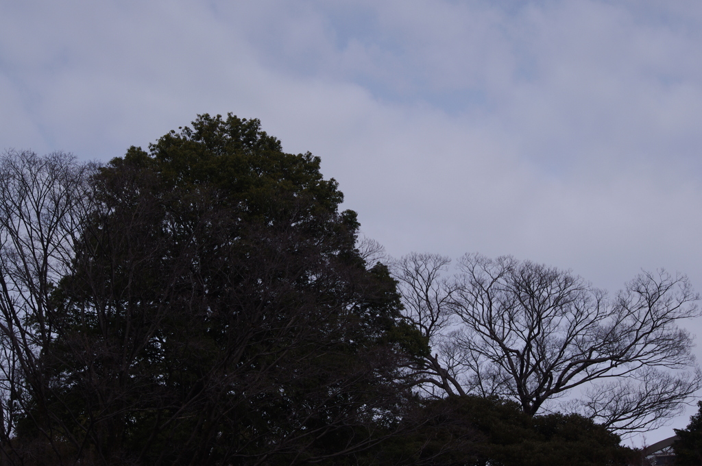 庭園風景