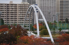 アイル橋と紅葉　東品川海上公園　屋上庭園