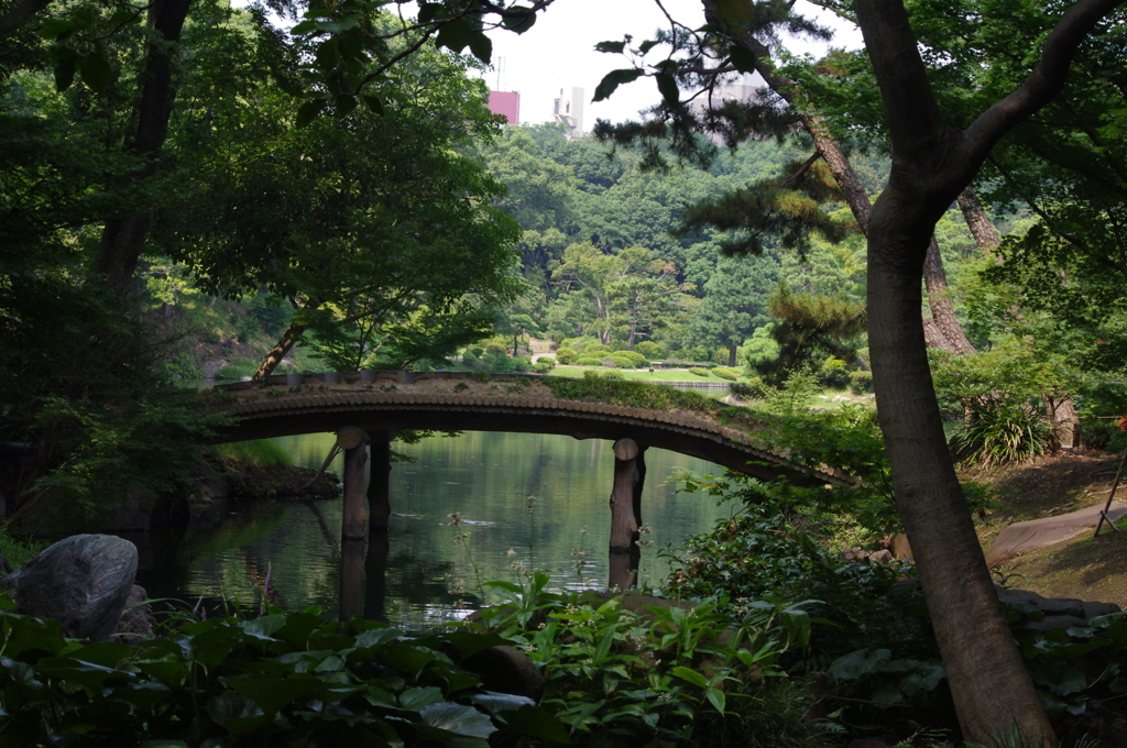 橋と風景