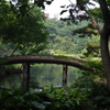 橋と風景