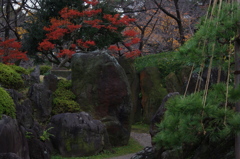 紅葉　5　旧芝離宮庭園　12月上旬
