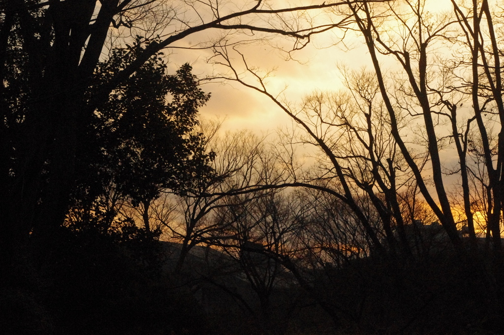 夕景　2　有栖川宮公園