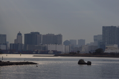 ビルと海岸