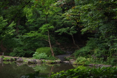 有栖川宮公園風景　1　７月　