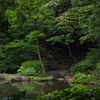 有栖川宮公園風景　1　７月　