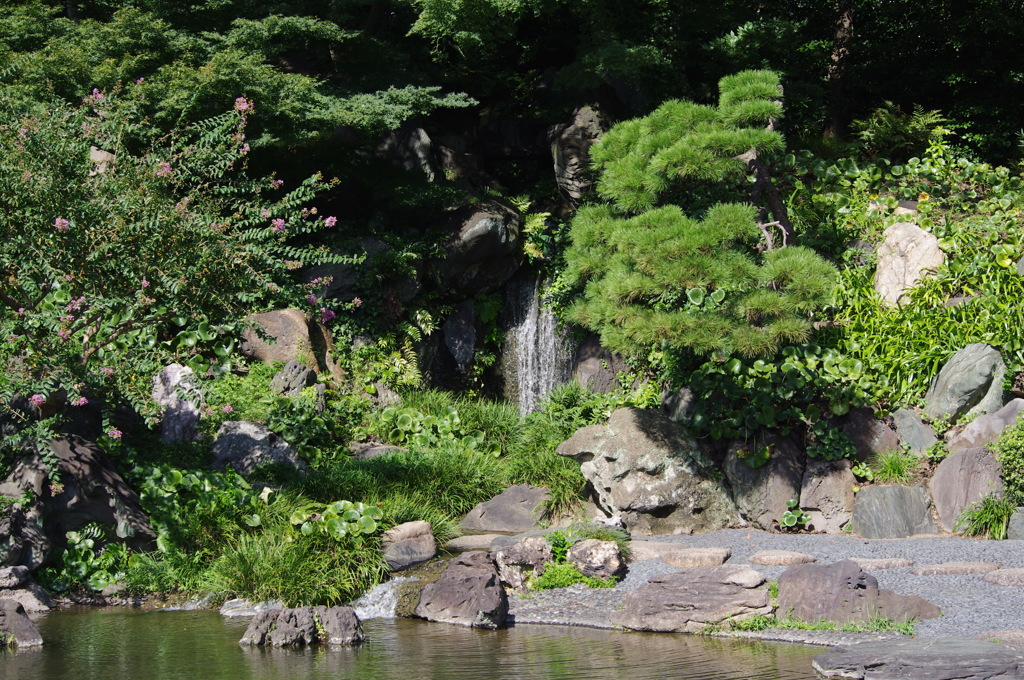 滝の涼　皇居東御苑　８月末