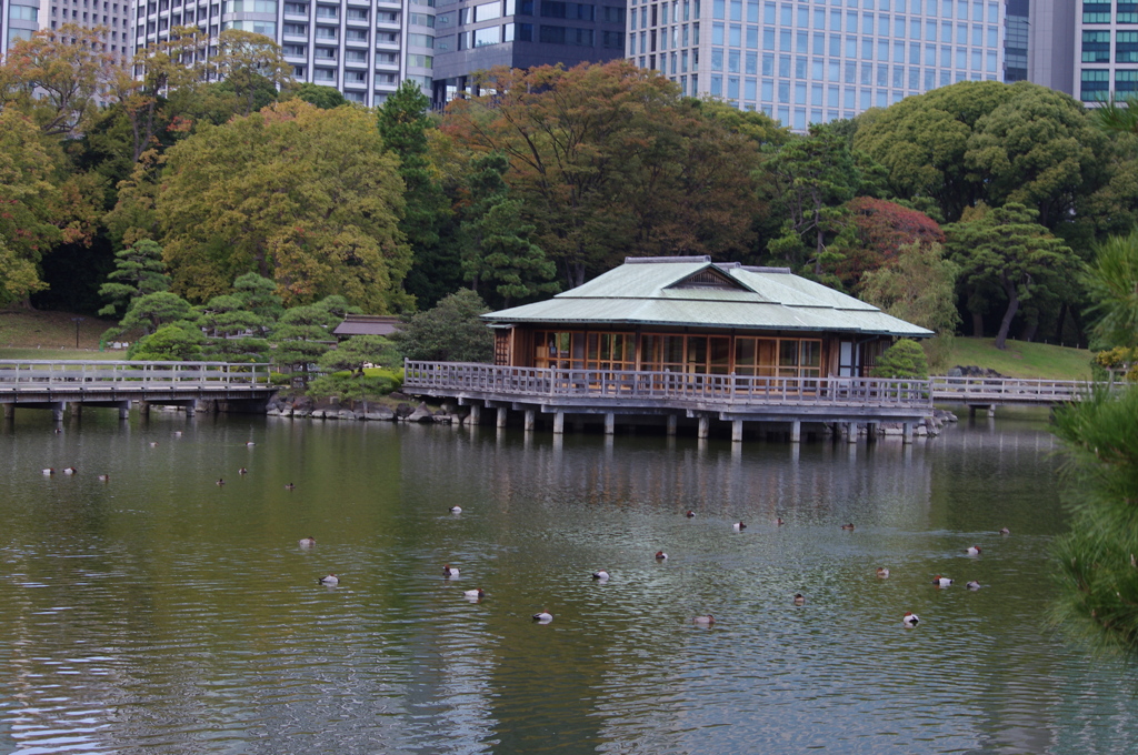 池の中の茶屋