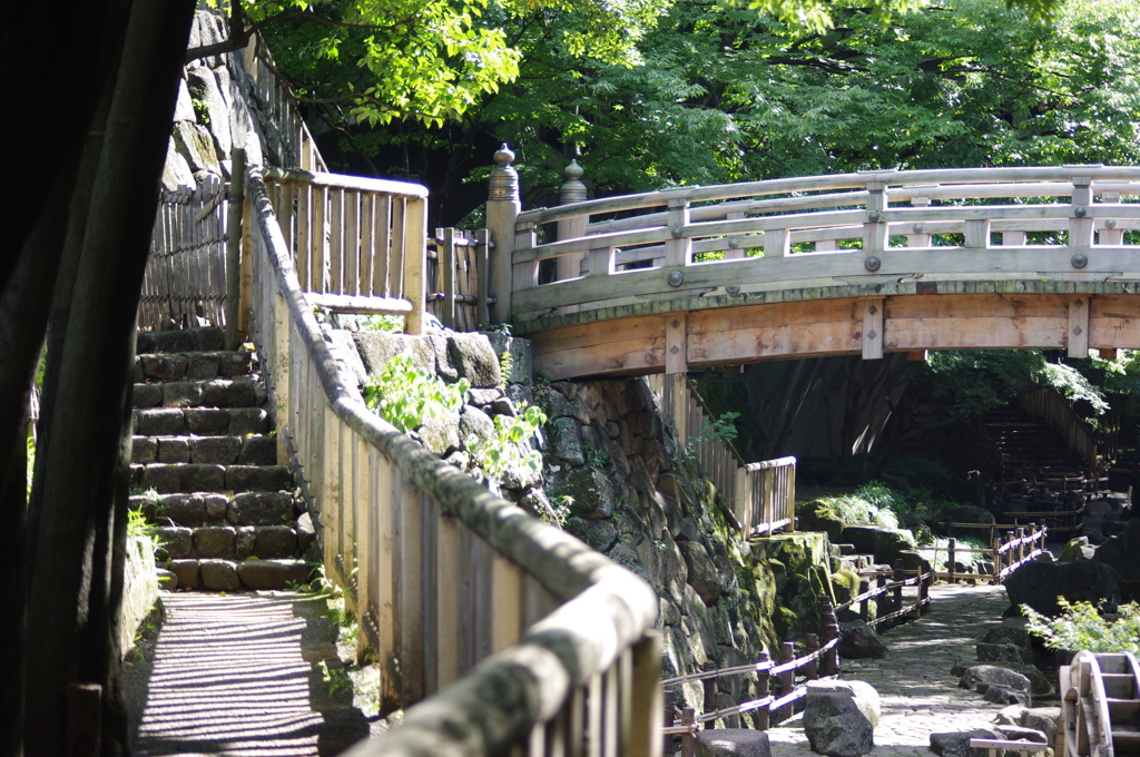 都会の谷の公園　音無親水公園