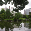 旧安田庭園　７月　池