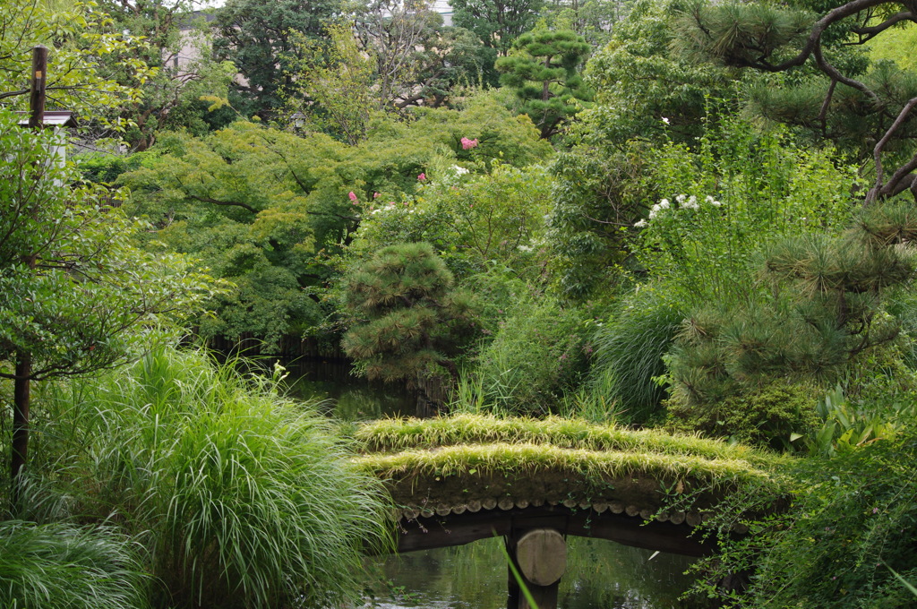 庭園風景　2