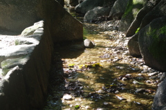 涼を呼ぶ流れ　江戸川公園　８月