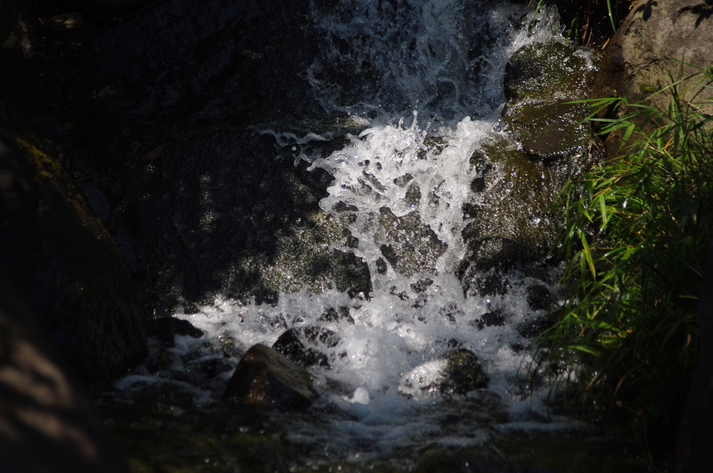 目白庭園　風景　4