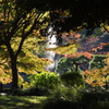 秋景色　2　日比谷公園　11月