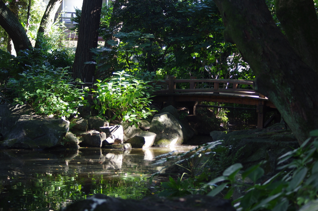 名主の滝公園　橋