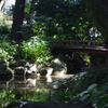 名主の滝公園　橋