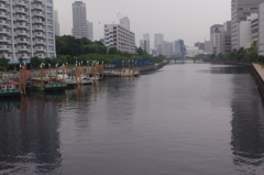 品川駅　歩いてすぐ　お手軽散歩道！　高浜運河！