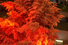 丸の内のクリスマス　3