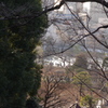 初詣　3　上野
