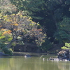 庭園風景　1