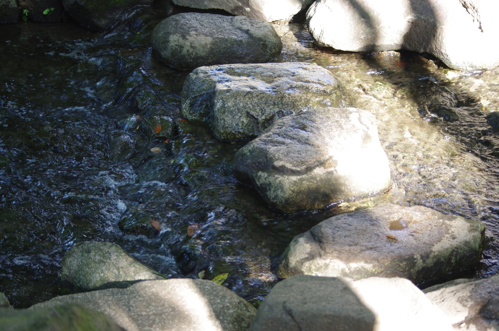 川の流れ　戸越公園　９月