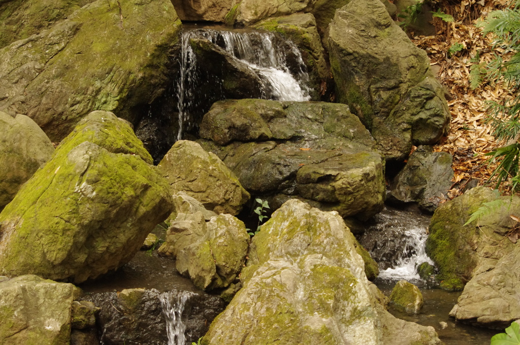 滝　池田山公園　１月末