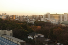 平和島駐車場　風景　1　１月