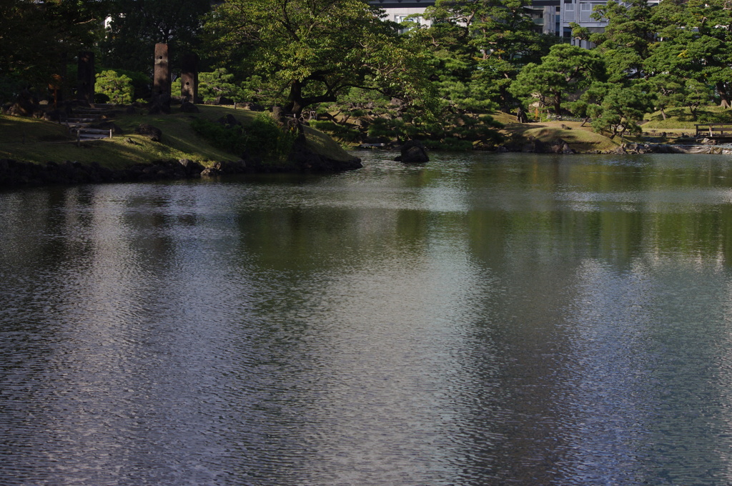 庭園風景　5