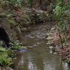 庭園の小川